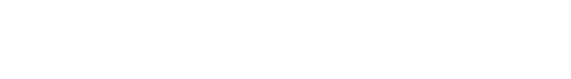Birely Marine Surveying
